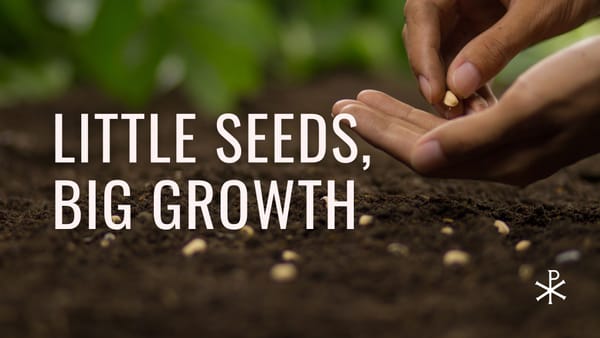 Sermon Summary: Little Seeds, Big Growth: Starting Fresh in the New Year